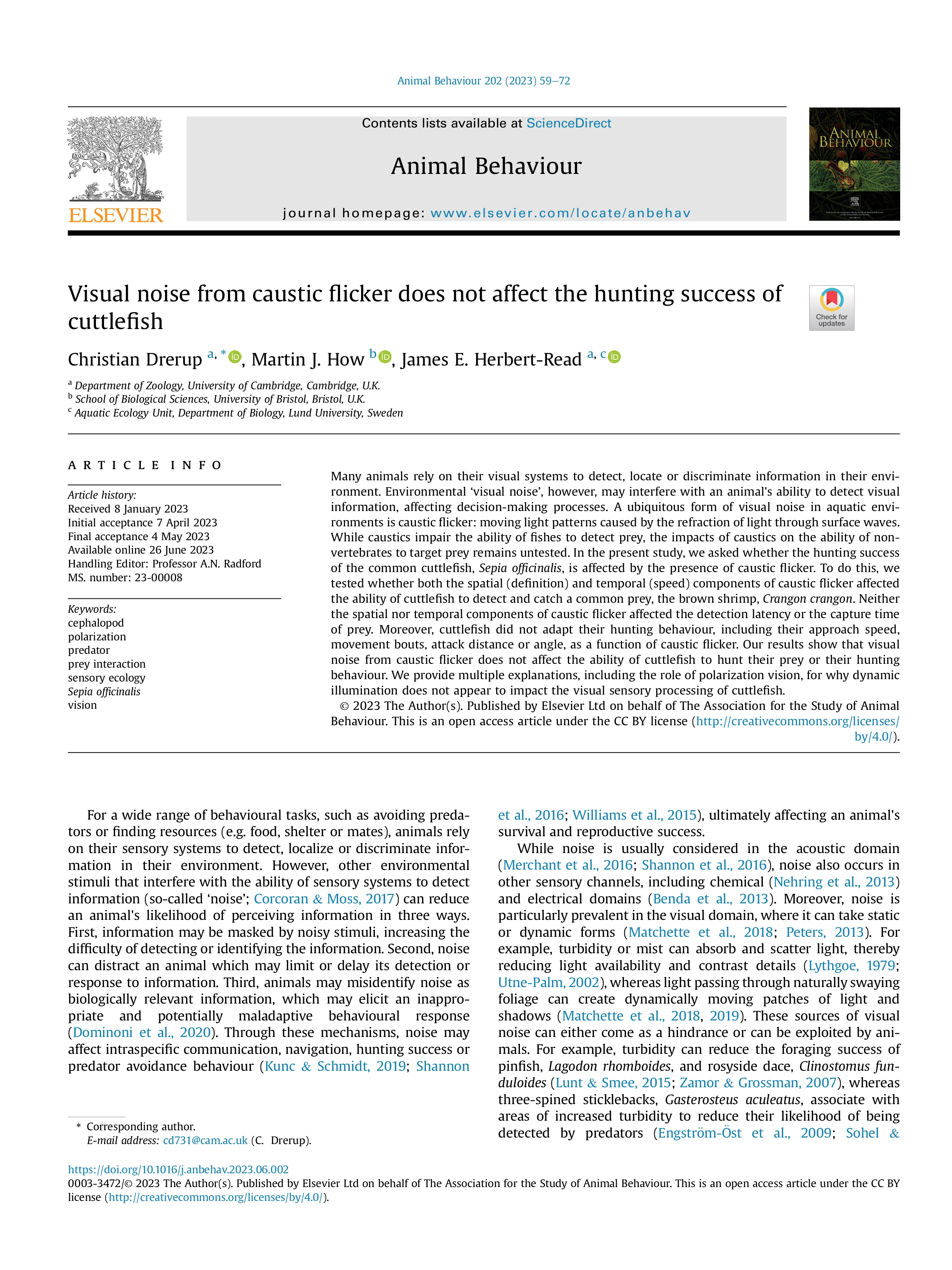 Image associated with publication 11