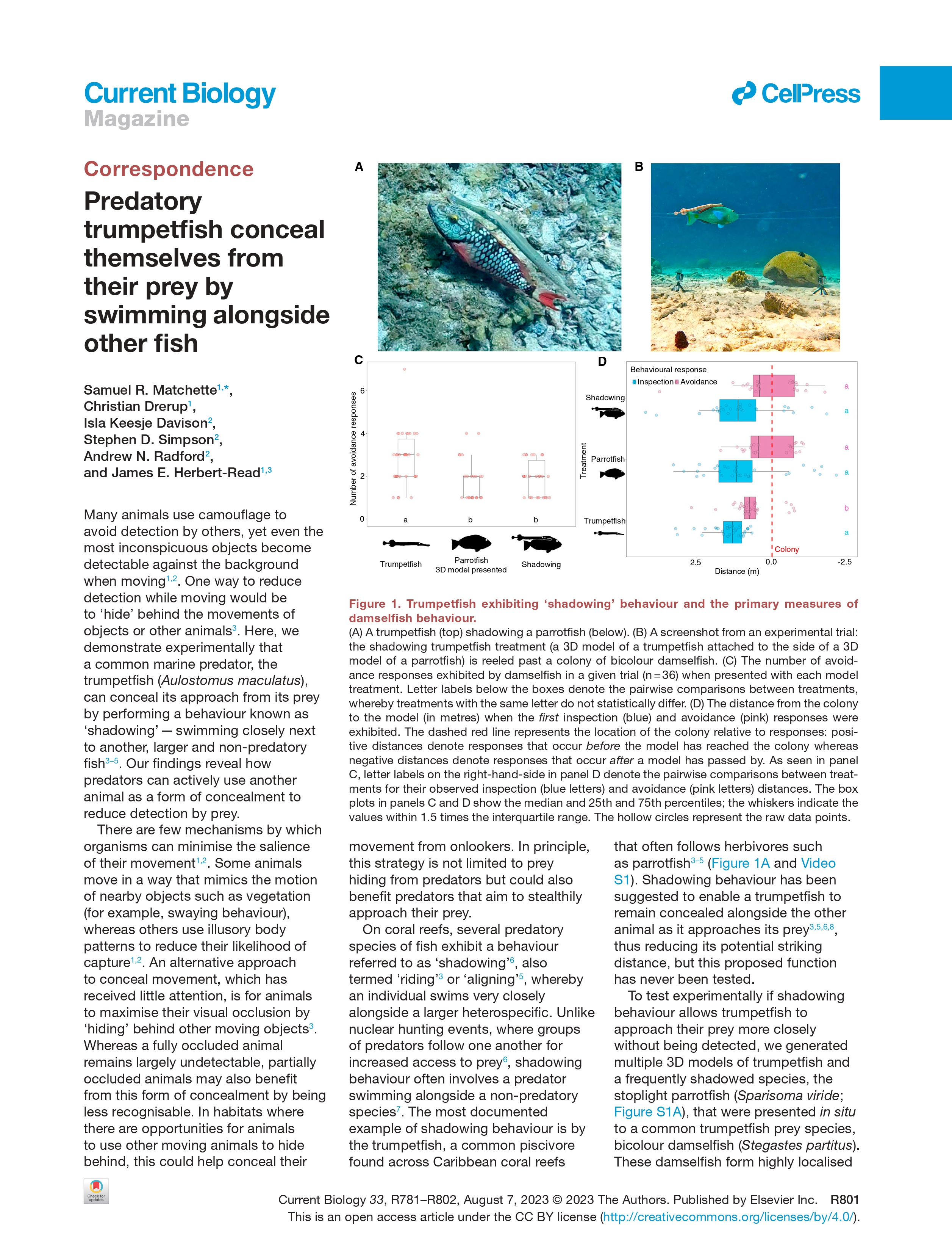 Image associated with publication 12