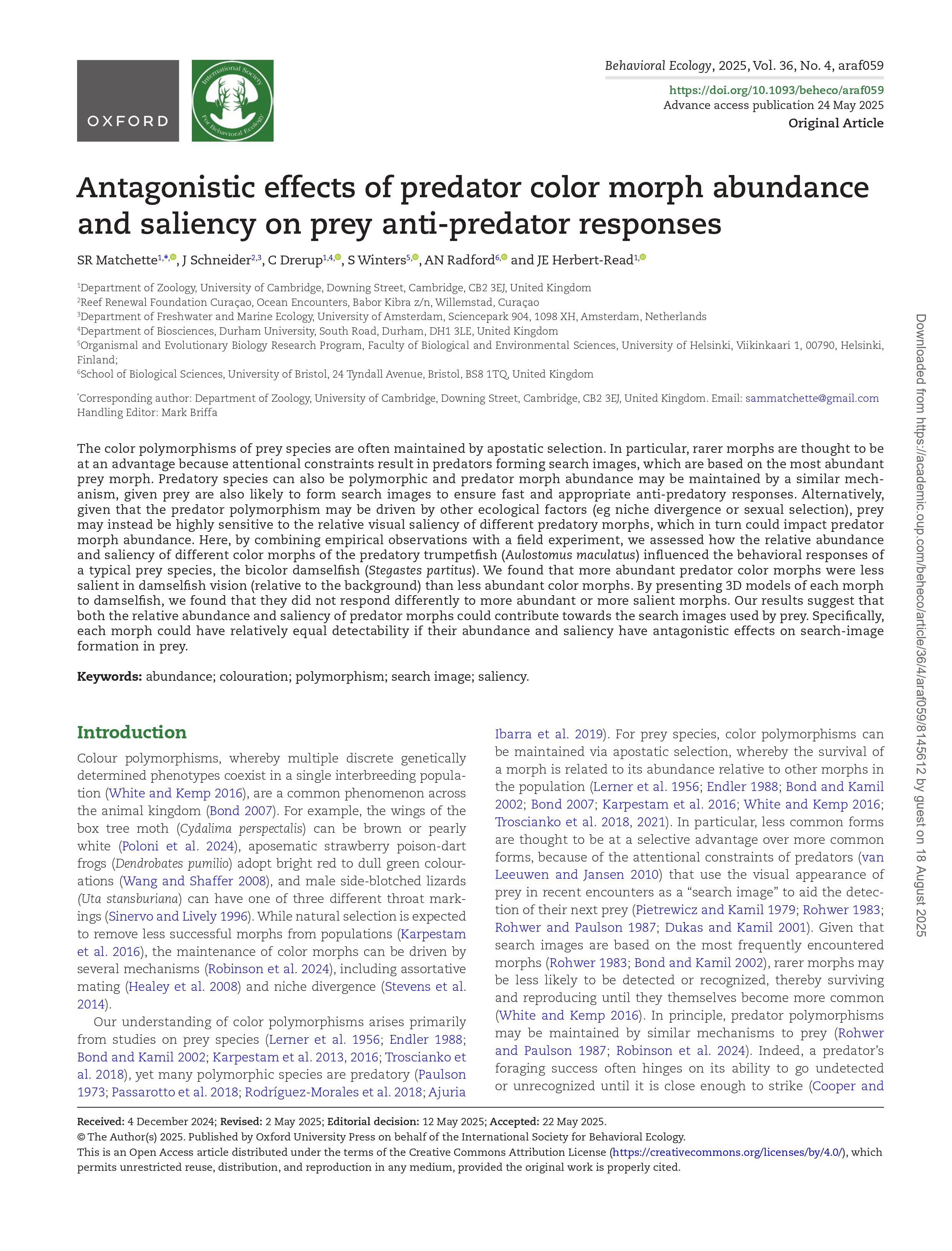 Image associated with publication 16