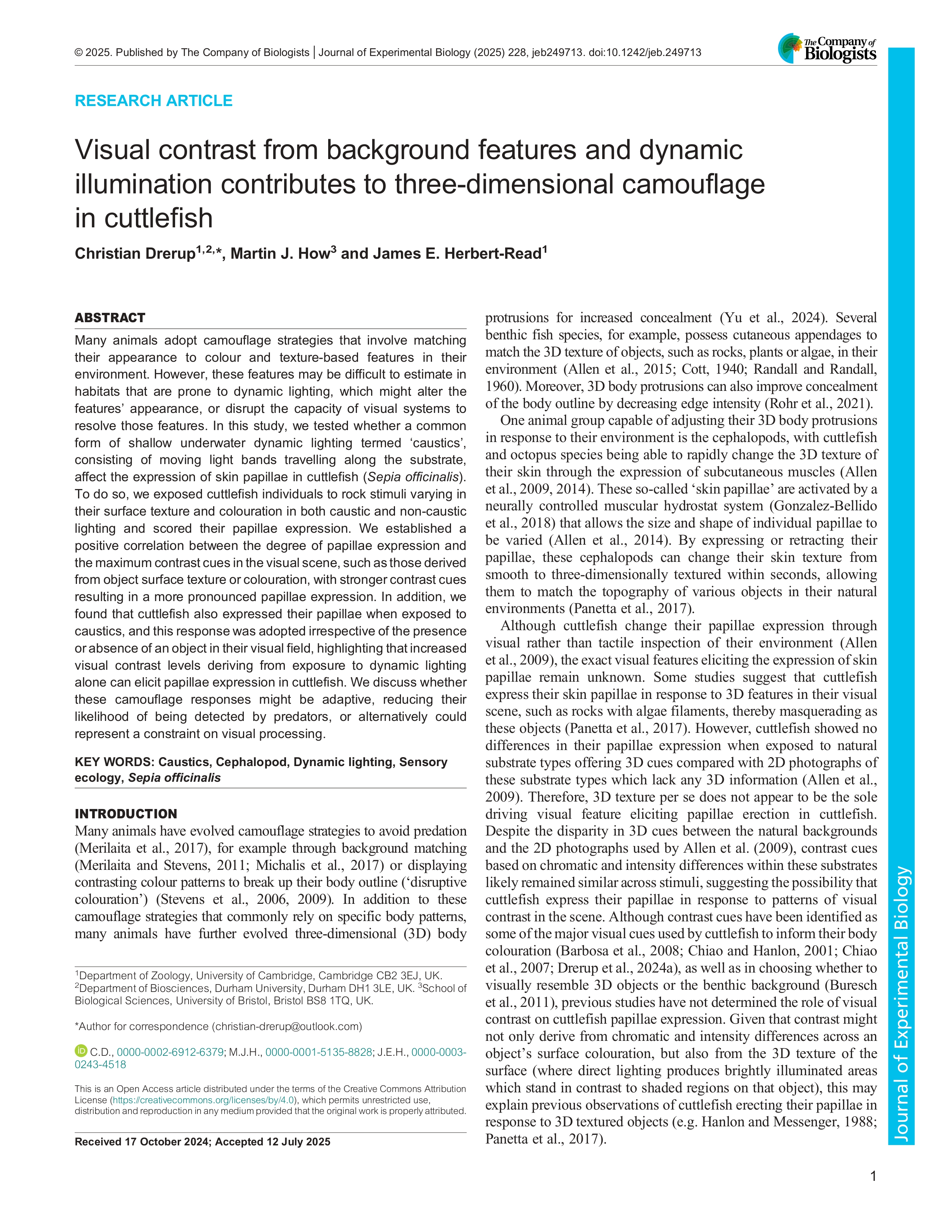 Image associated with publication 18