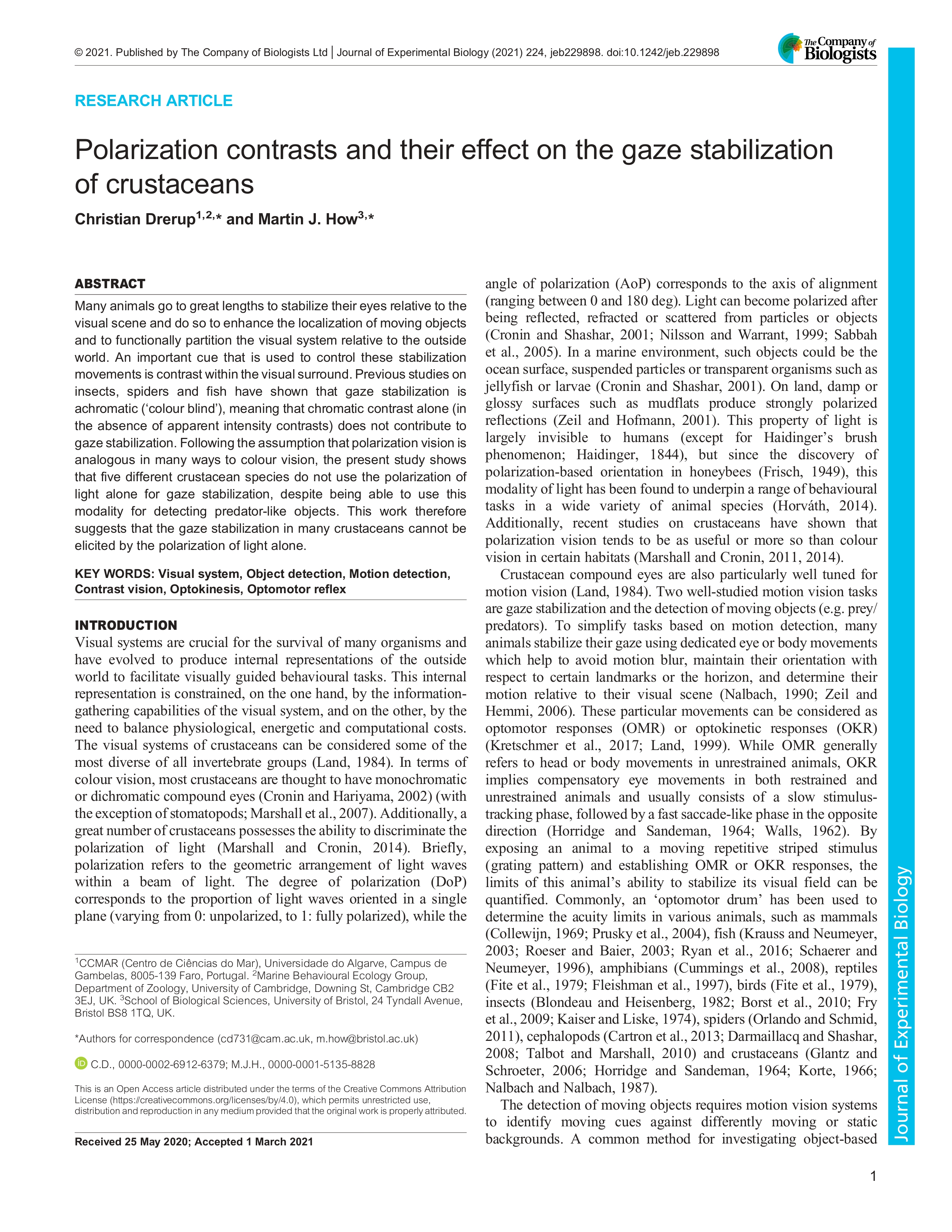 Image associated with publication 2