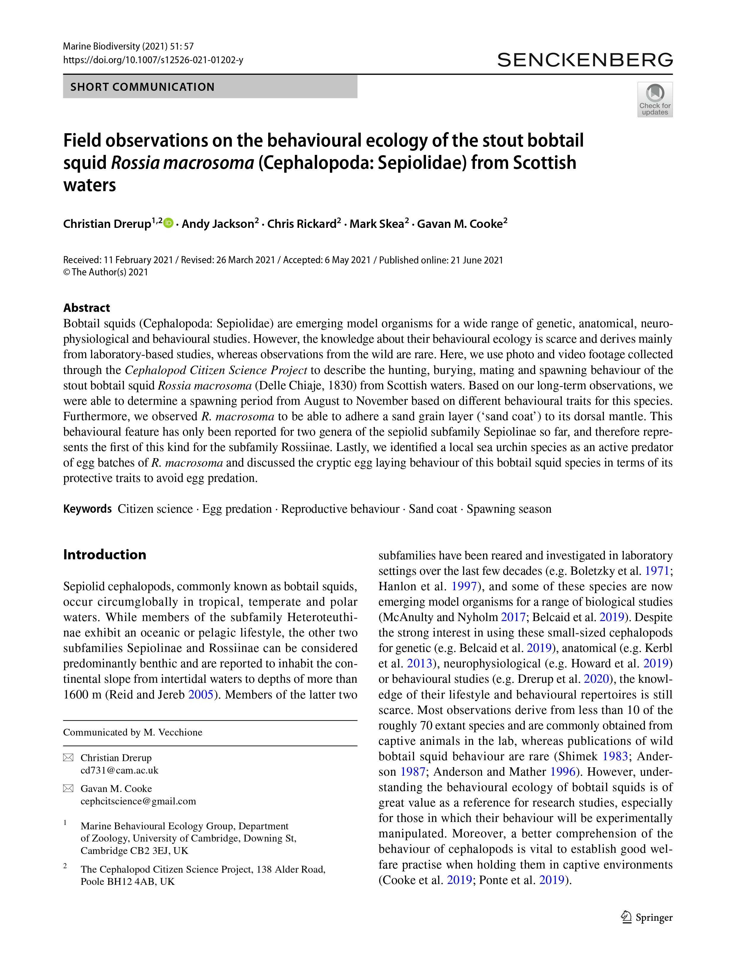 Image associated with publication 4