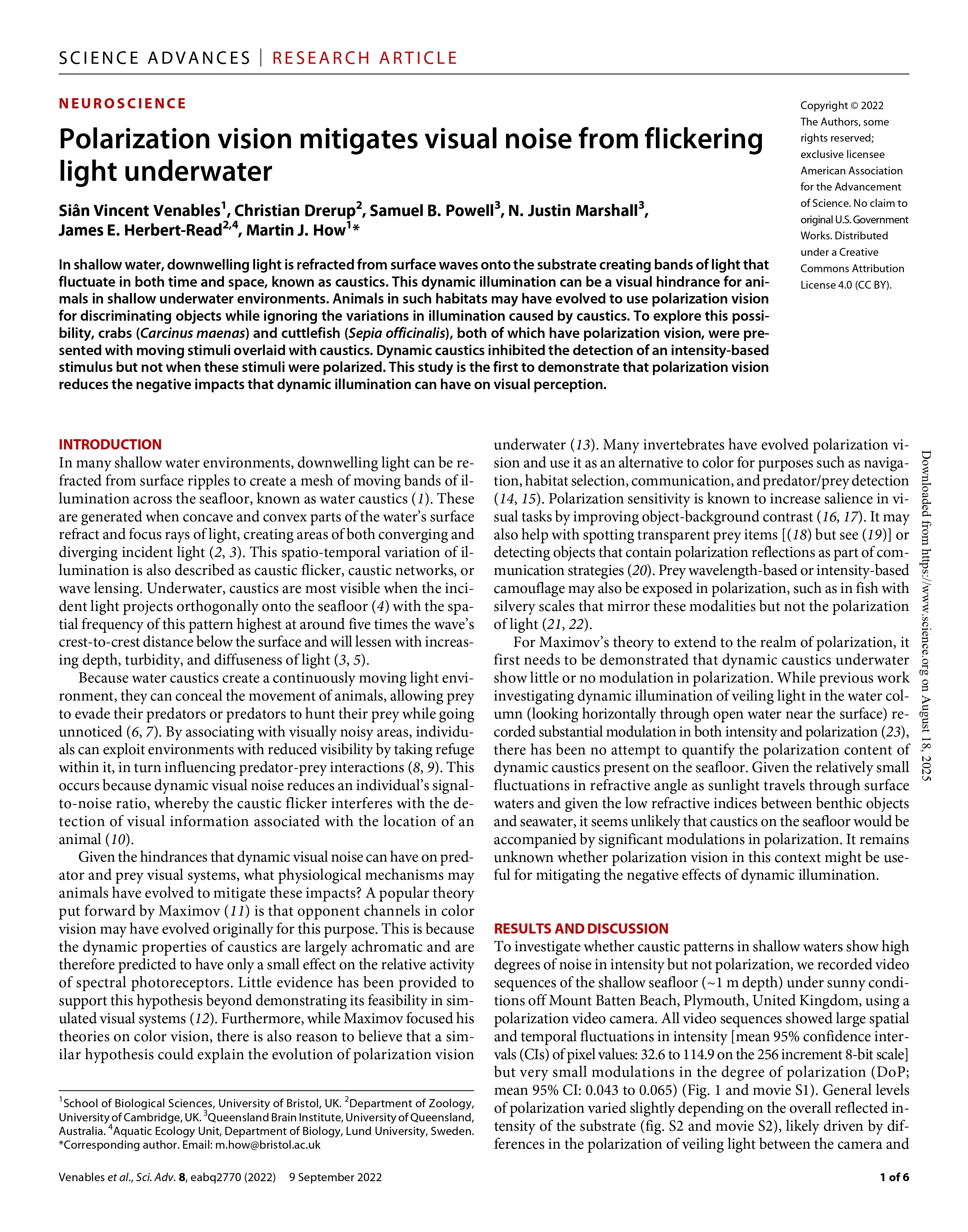 Image associated with publication 7
